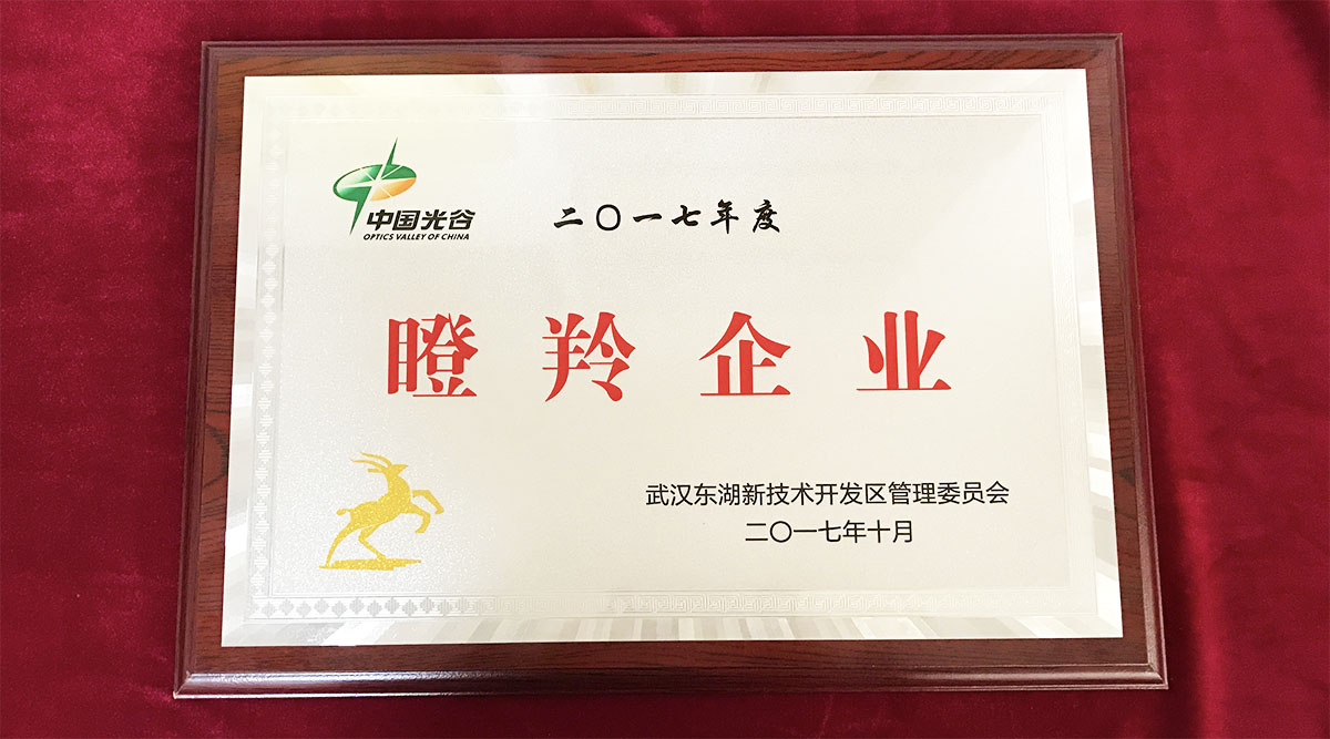 祝賀武漢邁信電氣技術(shù)有限公司榮獲中國(guó)光谷2017年度“瞪羚企業(yè)”！
